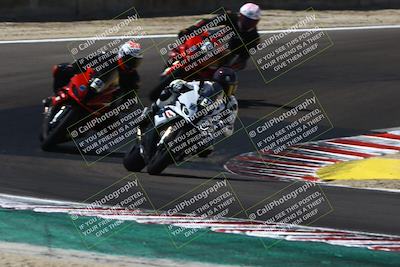 media/Aug-31-2024-TrackDaz (Sat) [[d39206e9d9]]/B plus Group/1220p (Turn 6)/